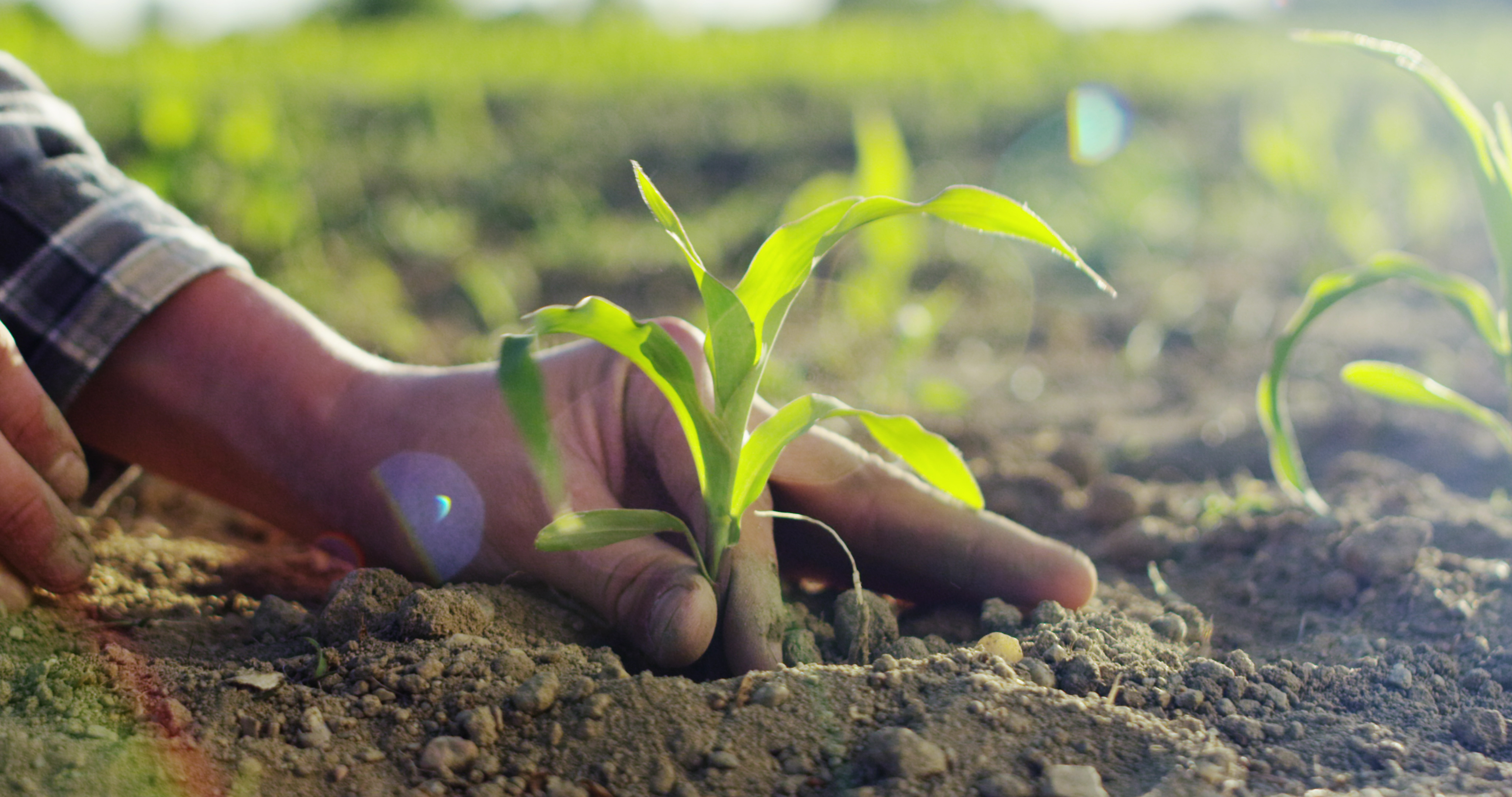 Bulk Fertilizer Products